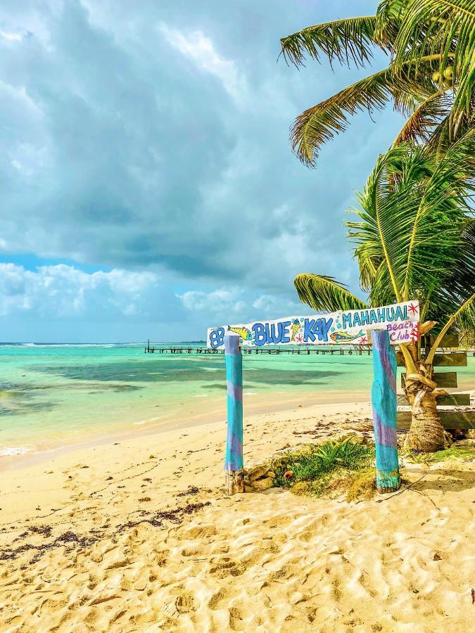 Eco Cabanas Bluekay Mahahual Exteriör bild